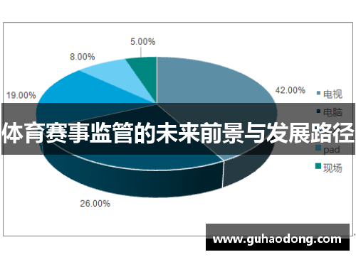 体育赛事监管的未来前景与发展路径
